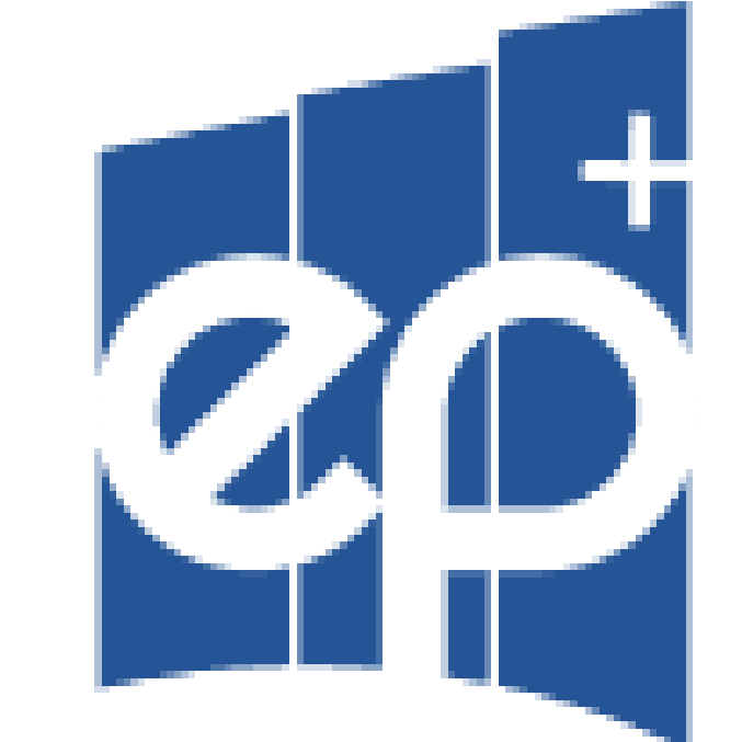 Icono Estrategia Patrimonial Plus